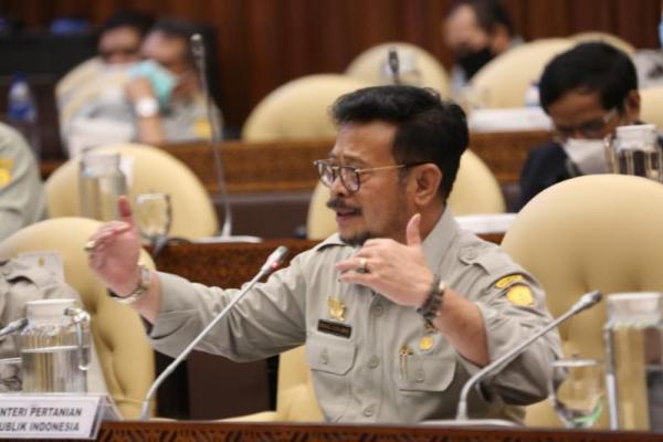 Raker Bersama DPR, Mentan Optimis Capai Target Walau Anggaran Terbatas