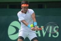 Final Piala Davis Ditunda Hingga Tahun Depan