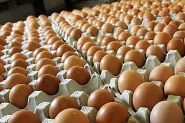  Peningkatan Permintaan Bahan Makanan Picu Inflasi Juni 2020