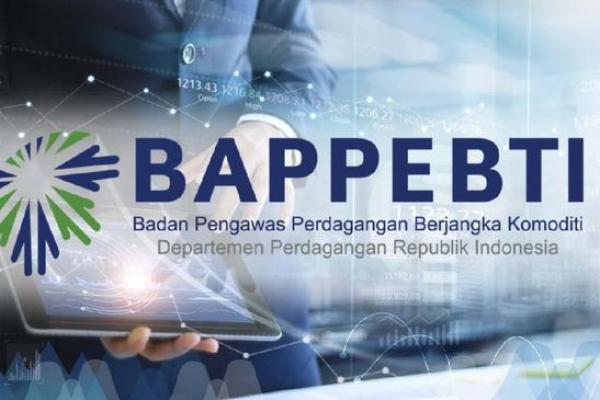 Gandeng Kemenkominfo, Kemendag Blokir Ratusan Iklan Medsos Ilegal 