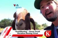 VIDEO : "Goat2Meeting" - Hewan Ternak Meriahkan Meeting Virtual