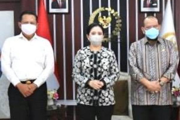 Ketua MPR Pandang DPD Perlu Ambil Peran Aktif Dalam Fungsi Pengawasan dan Anggaran