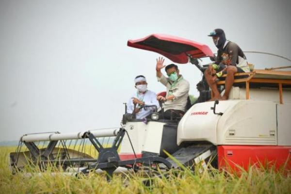 Akademisi IPB Prediksi Sektor Pertanian Masih akan Tumbuh Pada Kuartal IV