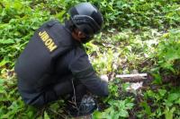 Tim Jibom Brimob Sumut Musnahkan Bom Mortir Temuan Warga