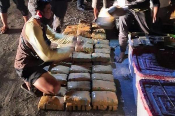 Pembawa Ganja Kering 141 Kg di Medan Ditangkap BNN 