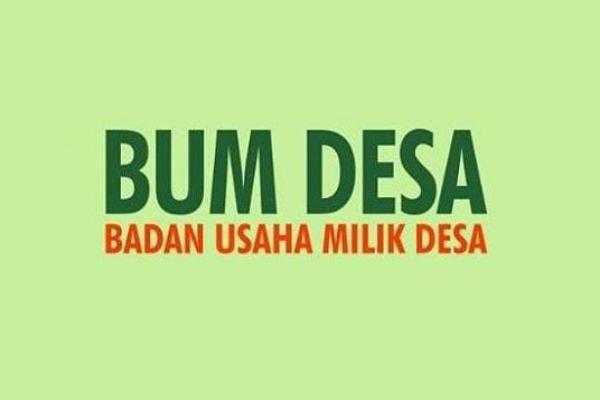 DPD RI Nilai BUM Desa Perlu Payung Hukum