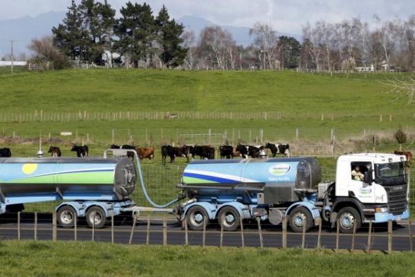 Petani di Selandia Baru Kekurangan Pekerja Asing di Tengah Pandemi