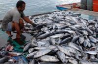 Kiara Nilai Proyek LIN Pinggirkan Nelayan Tradisional