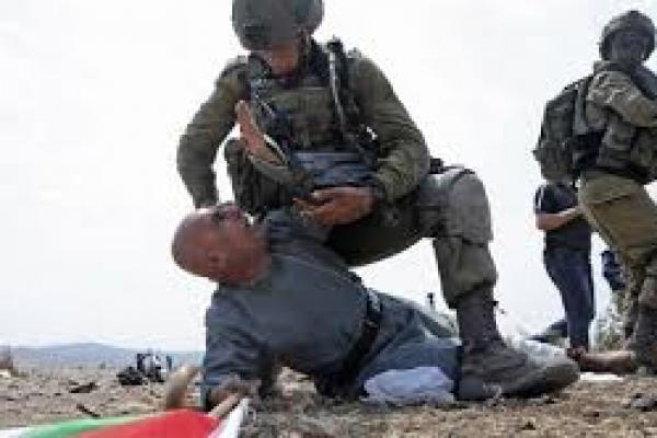  Tentara Israel Lukai Pria Lanjut Usia Palestina