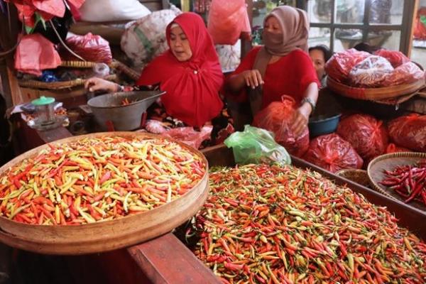 Harga Cabai Mahal, Mendag Kejar Teknologi Penyimpanan Di Brebes