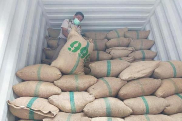 Akademisi UI Minta Indonesia Fokus Ekspor Pertanian