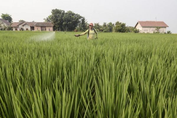  DPR Desak Pemerintah Bentuk Badan Pangan Nasional
