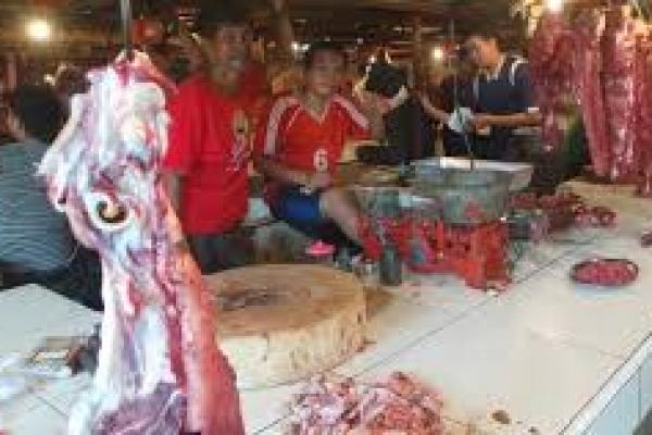  Mahalnya Sapi Bakalan Di Australia Picu Kenaikan Harga Daging 