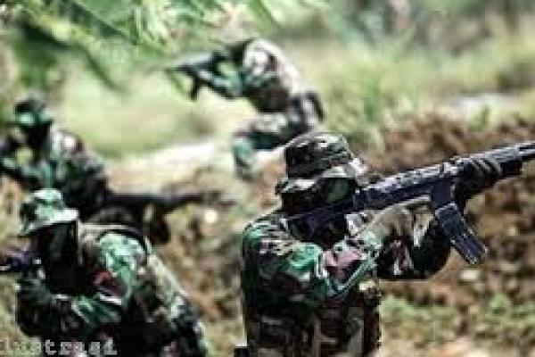 Lagi, Kontak Tembak TNI- Kelompok Bersenjata Terjadi di Intan Jaya, Papua