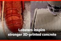 Puntiran Cangkang Lobster Jadi Inspirasi Perkuat Beton