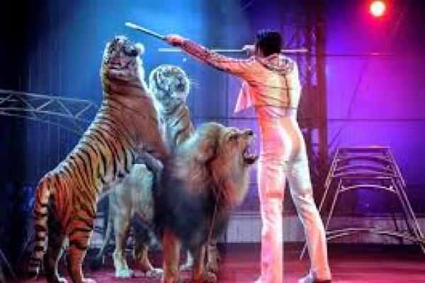 Parlemen Perancis Debat Larangan Penggunaan Hewan Liar di Sirkus