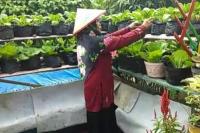 Pengamat Pangan Dorong Masyarakat Terapkan Program Rumah Pangan Lestari