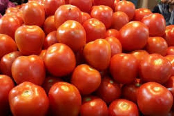 Demi Pendapatan dan Produktivitas Petani, Mentan Siap Berkolaborasi Semua Pihak yang Miliki Visi dan