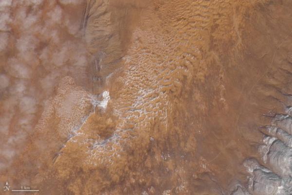 Aljazair Desak Prancis Bertanggung Jawab atas Limbah Nuklir di Sahara