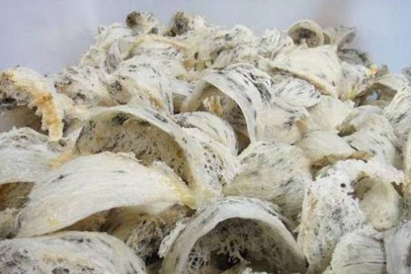 Wamendag Tegaskan Keinginan Implementasi Pertemuan Parapat