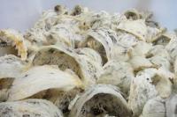 Wamendag Tegaskan Keinginan Implementasi Pertemuan Parapat