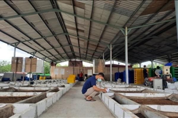 Magalarva, Mengolah Sampah dan Mengambil Untung dari Lalat