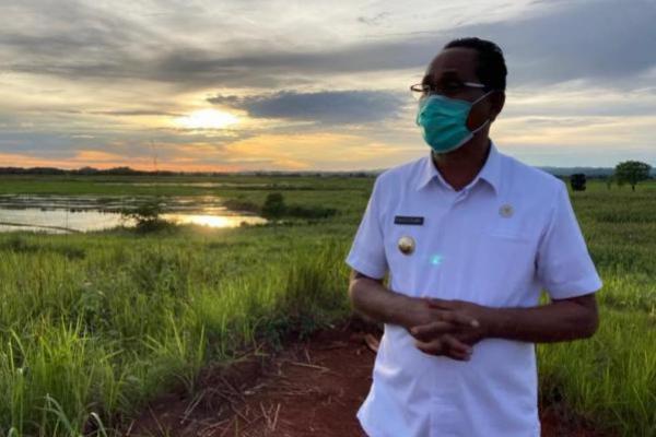 Food Estate Dinilai Bermanfaat, Paulus Minta Jokowi dan Mentan Nambah 50.000 Hektare Lagi