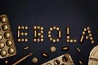 Guinea Catat Kematian Pertama Akibat Ebola Sejak 2016