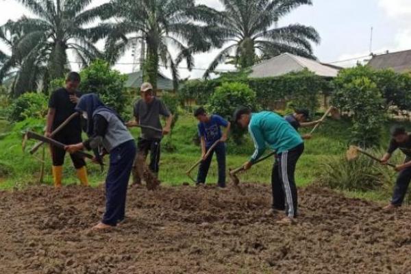 Begini Kesan Keken Siswa SMKNPP pada saat Magang Pertanian