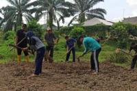 Begini Kesan Keken Siswa SMKNPP pada saat Magang Pertanian