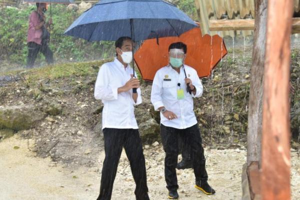 Tekan Kemiskinan, Jokowi Siapkan 10.000 Hektare untuk Food Estate di NTT  