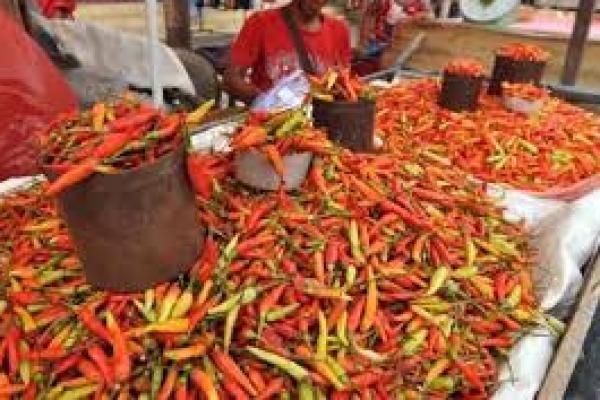 Kementan Sebut Hasil Panen 2020 Buat Harga Cabai Kini Berangsur Normal