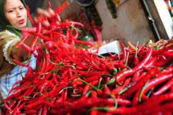 Serikat Petani: Bencana Alam Buat Gagal Panen dan Naiknya Harga Cabai