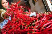 Serikat Petani: Bencana Alam Buat Gagal Panen dan Naiknya Harga Cabai