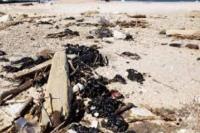 Israel Tuduh Iran Penyebab Tumpahnya Minyak di Lepas Pantainya