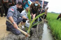 Kuatkan Eksistensi Pertanian, Kementan Gerakan Padat Karya di Karanganyar