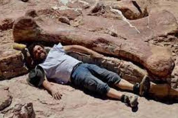 Fosil Tertua Titanosaurus Ditemukan di Argentina