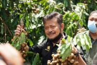 Dorong Pengembangan Kawasan Buah Lokal, Mentan Tinjau Kawasan Kebun Agrowisata 