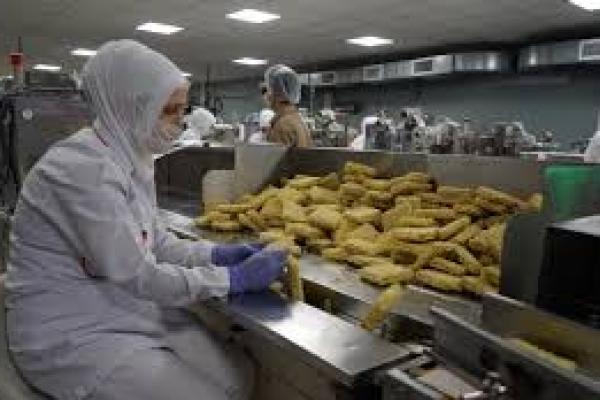 Turki Perpanjang Larangan PHK Selama 2 Bulan Lagi