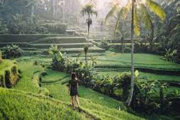 Tiga Destinasi di Bali Jadi Contoh Wisata Bebas Covid-19