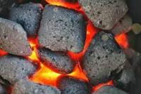 Kongres AS Selidiki Subsidi `Batu Bara Bersih`