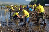 ASDP Tanam 7300 Bibit Mangrove di 12 Kantor Cabang 