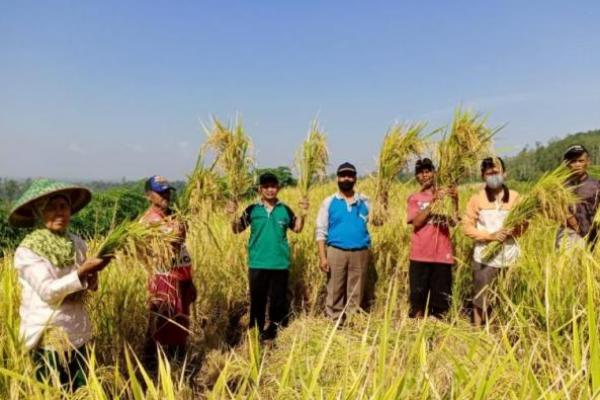 Terkait Tata Kelola Komoditas Pangan Nasional, DPR Tolak Wacana Impor Beras