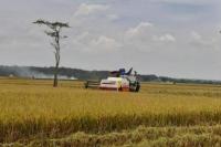 Bulag dan Kementan Menandatangani MoU Kesanggupan Serap Gabah Petani
