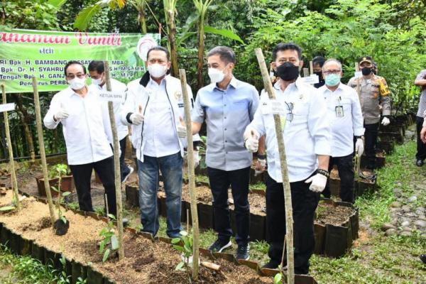 Kementan Canangkan Salatiga Jadi Kota Vanili, Bamsoet: Naikkan Nilai Tambah