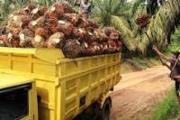 Indonesia Jadi Pihak Ketiga Dalam Gugatan Malaysia ke WTO Terkait CPO