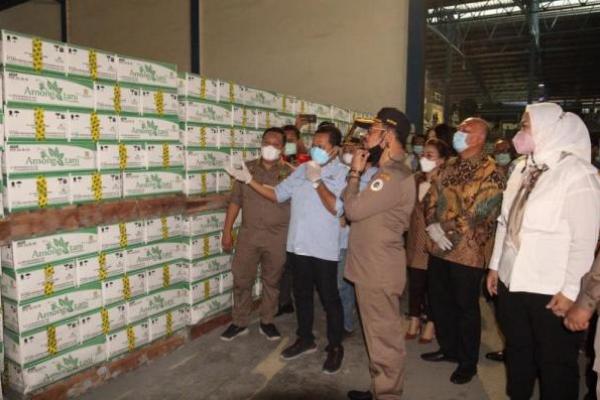 Mentan Sarankan Petani Tak Hanya Harap Pupuk Subsidi, Bisa Pakai Pupuk yang Di Toko