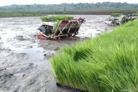 Genjot Potensi Lahan Sawah Tadah Hujan di Blora, Kementan Siapkan Teknologi Khusus