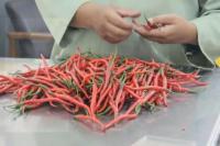 Kementan Pastikan Pasokan Pangan Puasa hingga Lebaran Aman Terkendali