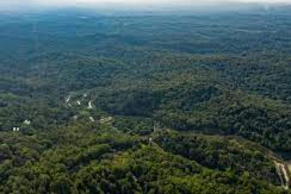 Kementerian LHK Alokasikan 12,7 Juta Hektar Kawasan Untuk Dikelola Masyarakat